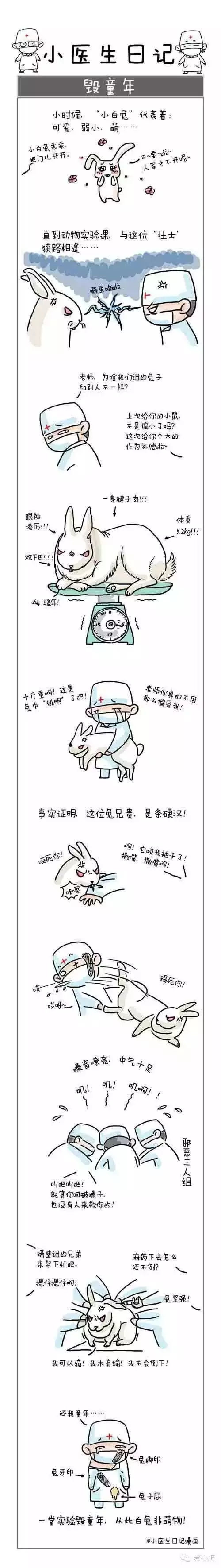 小醫(yī)生成長(zhǎng)日記